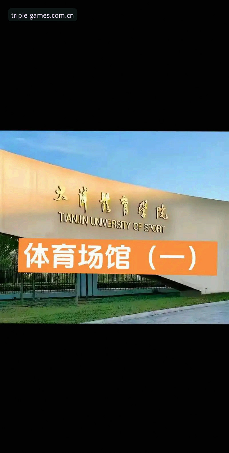 333体育平台实用指南：体育官网入口手机版高效操作全攻略